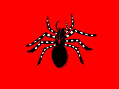 Araignee