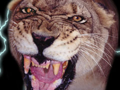 Tigre