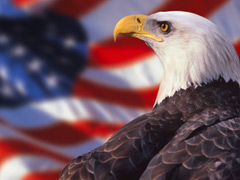 Aigle devant drapeau americain